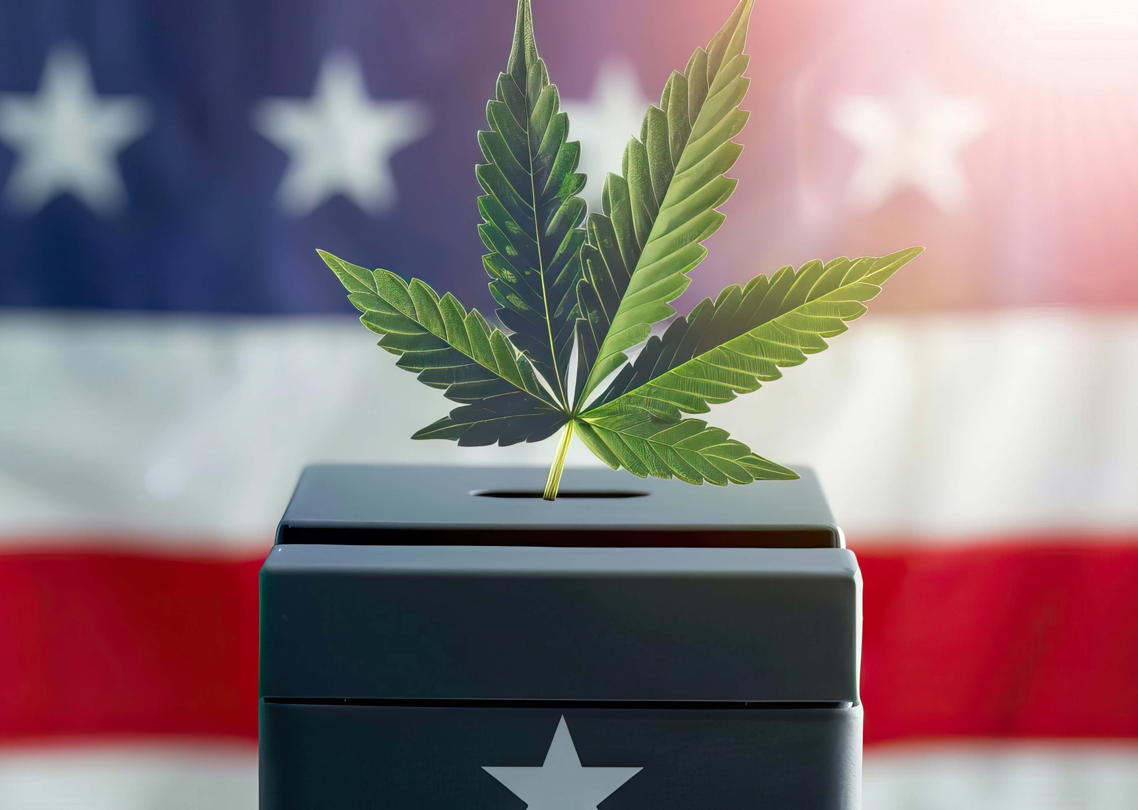 Florida to Vote November 5 on Legalizing Recreational Cannabis