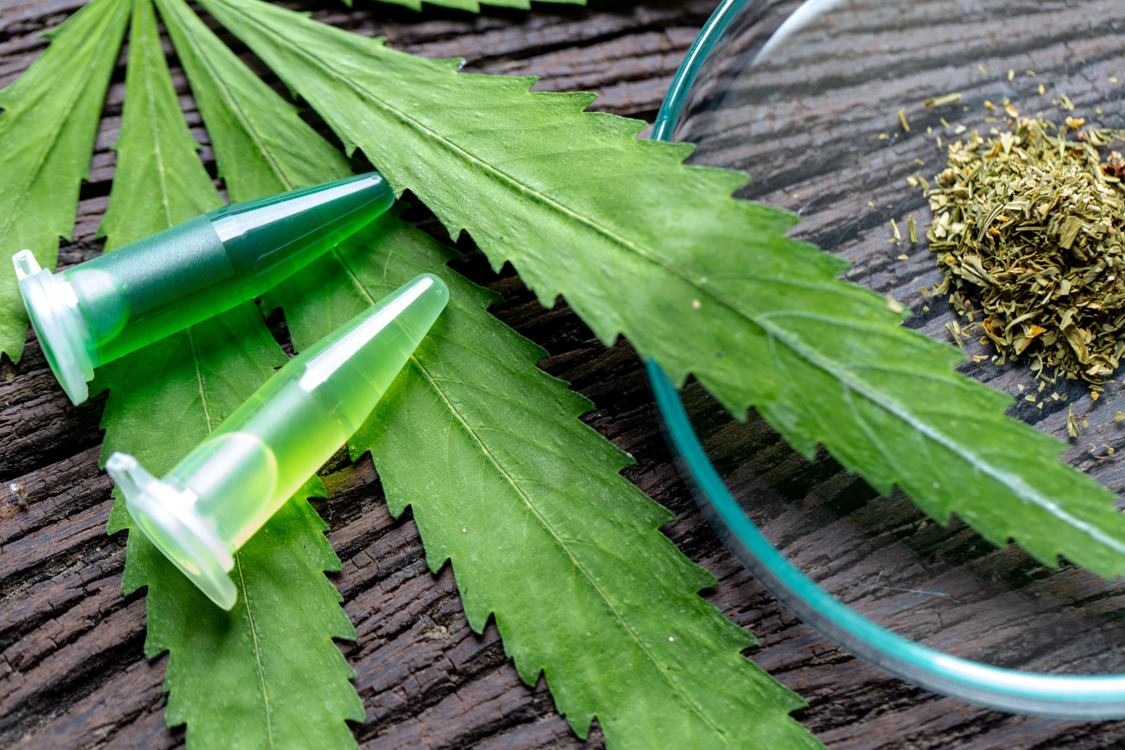 Getting Started with GxP Compliance in Your Cannabis Laboratories and Facilities