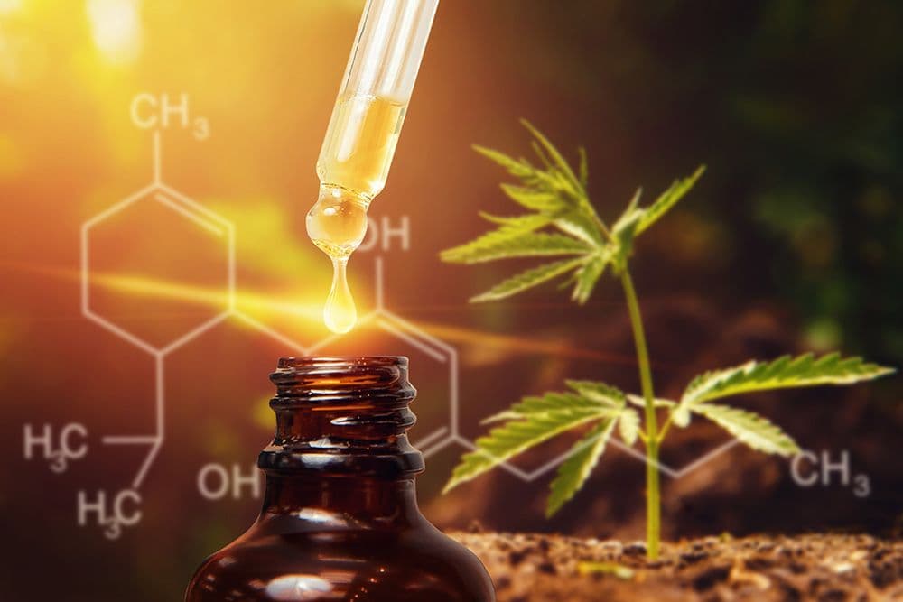 Cannabis Research Update: A New Webinar from Healer