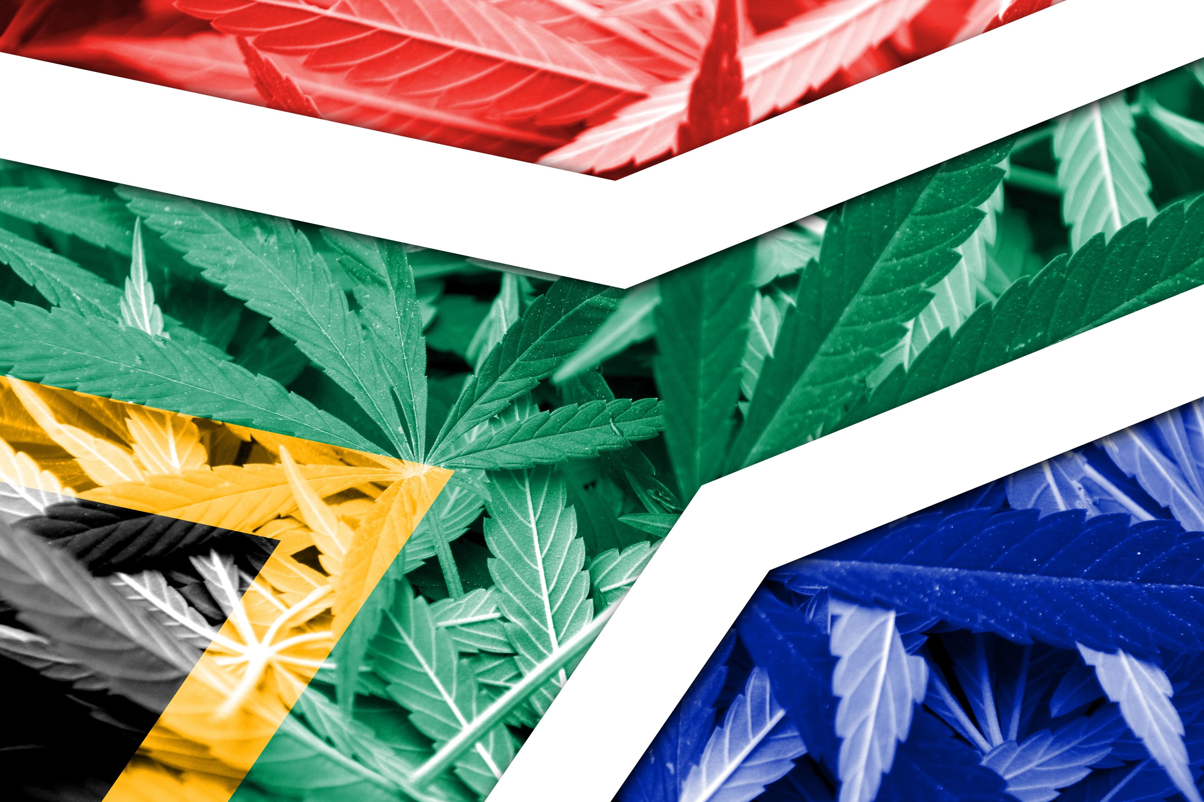 Cannabis Possession and Private Cultivation Legalized in South Africa