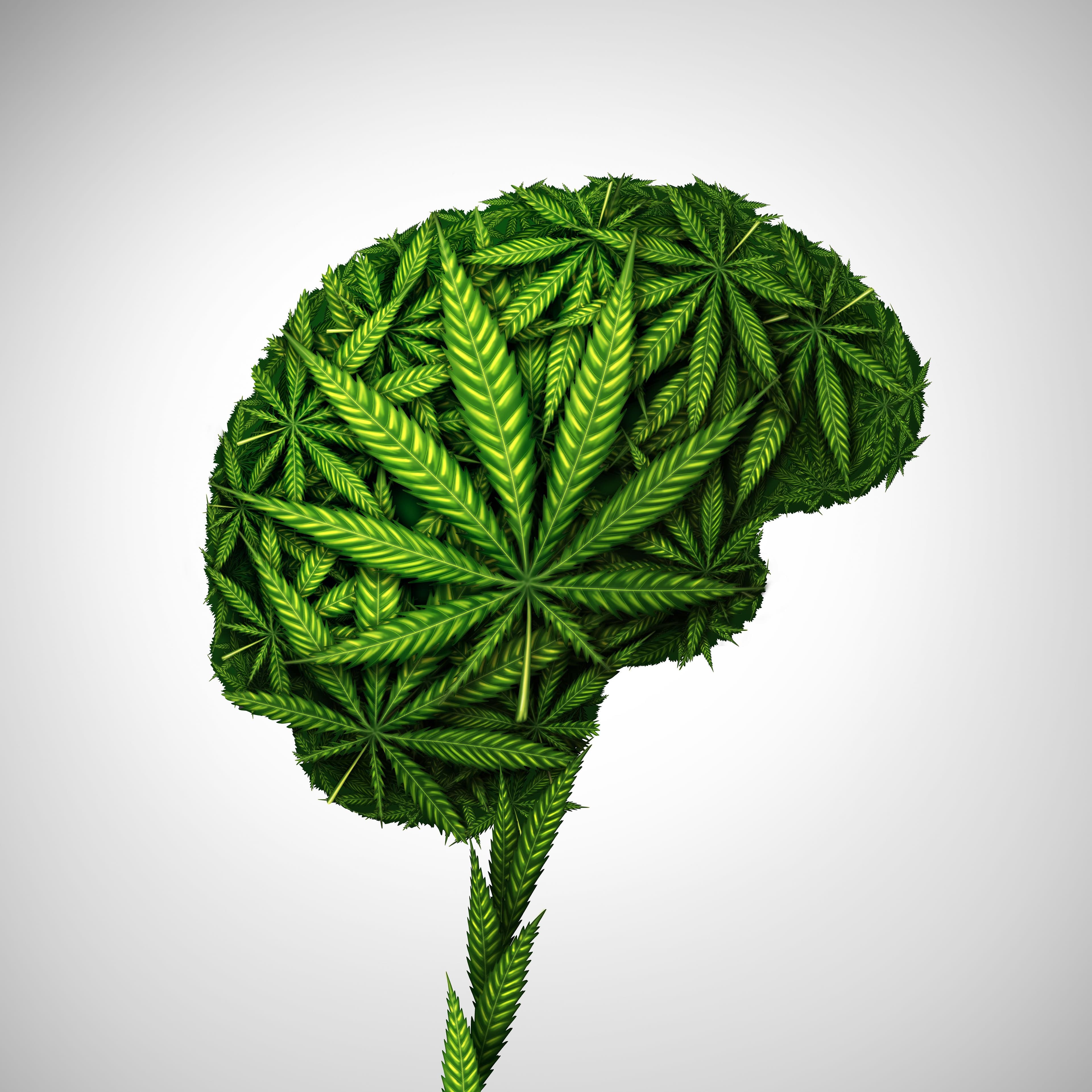 Cannabis and Dementia Symptoms: Healer Webinar Examines Relevant Research 