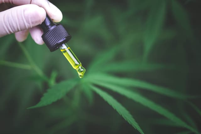 Advancements in Cannabis Research: Insights from Healer’s July 2024 Webinar